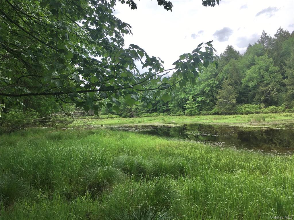 Land Cty Hwy 141 - Horseshoe Lake Rd Lots 10.7 & 10.9  Sullivan, NY 12720, MLS-H6240873-17