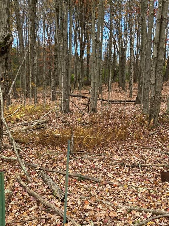 Land Big Woods  Sullivan, NY 12472, MLS-H6274967-17