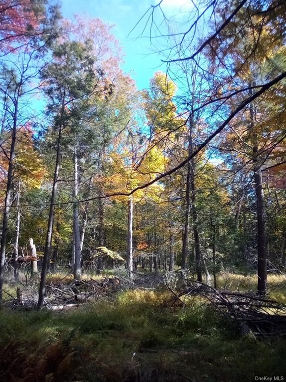 Land Mount Vernon  Sullivan, NY 12790, MLS-H6215980-17