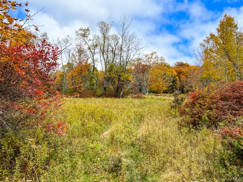 Land Debruce  Sullivan, NY 12758, MLS-H6214984-17