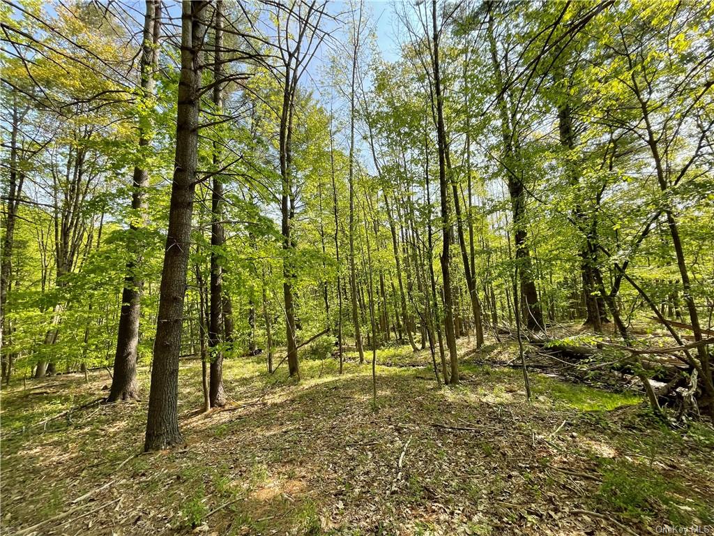 Land Creek Side  Ulster, NY 12480, MLS-H6228986-17