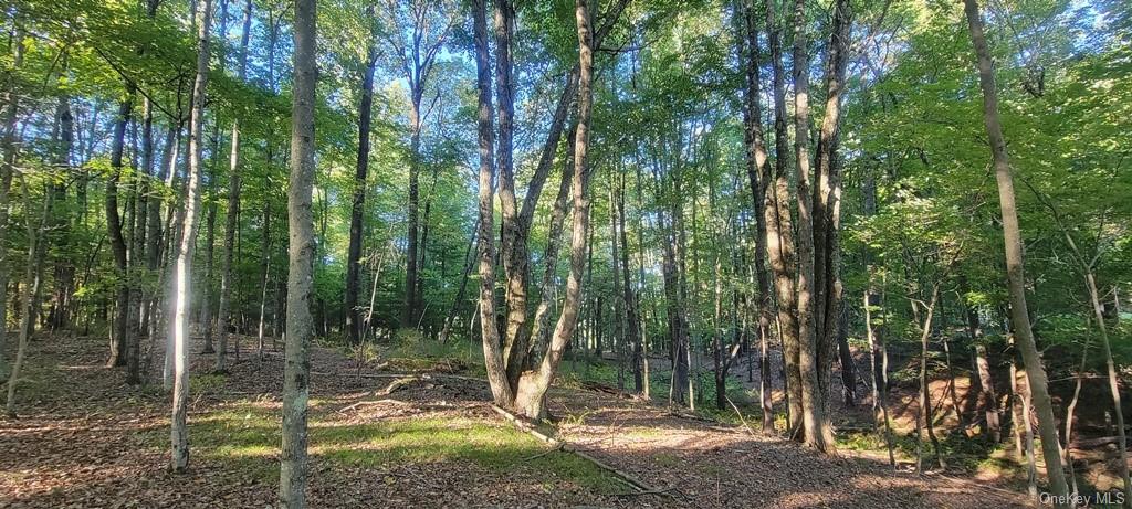 Land Meyerson  Sullivan, NY 12790, MLS-H6207993-17