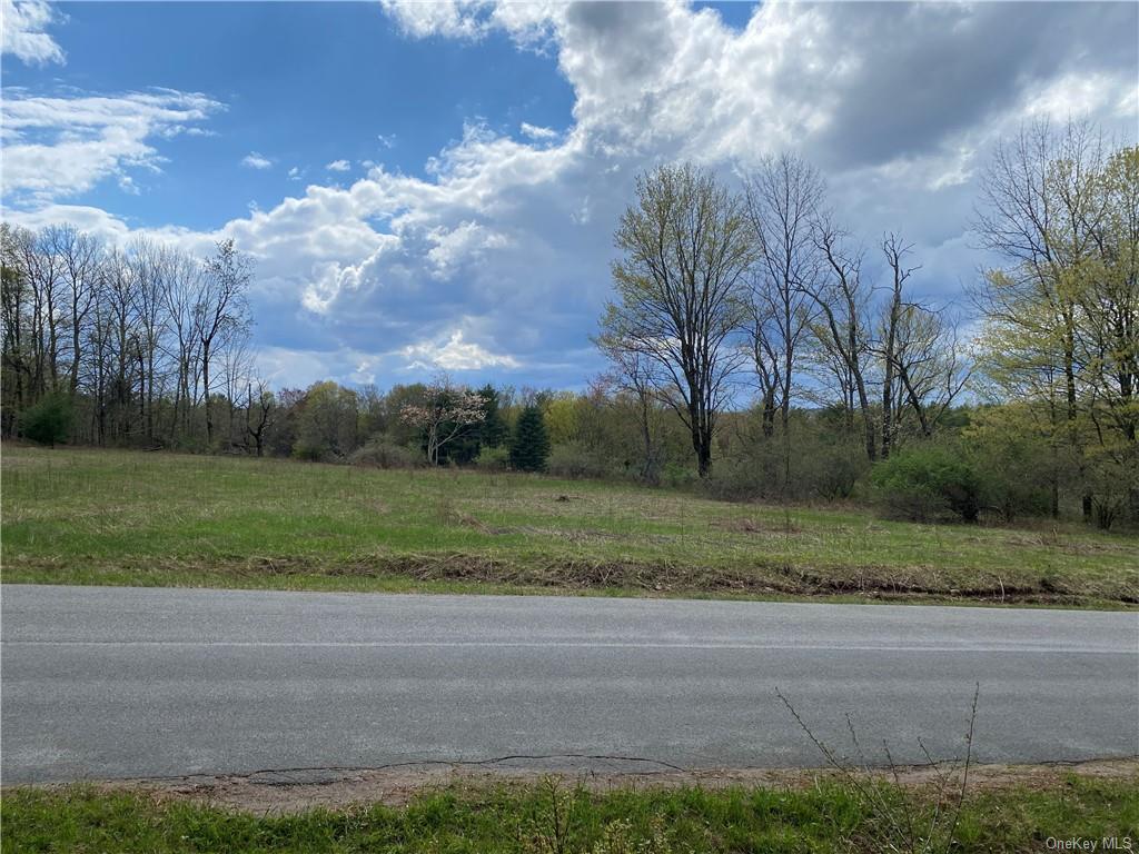 Land Royce  Sullivan, NY 12720, MLS-H6245995-17