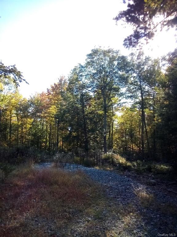 Land Mount Vernon  Sullivan, NY 12790, MLS-H6215996-17