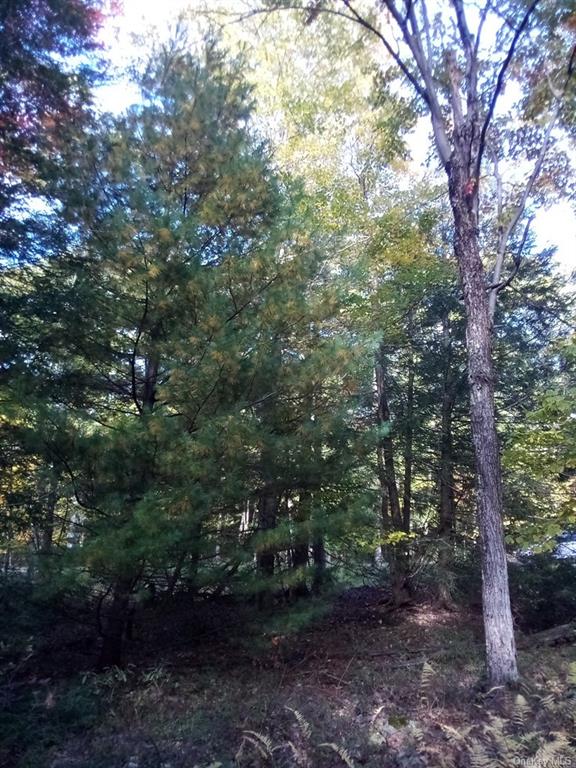 Land Mount Vernon  Sullivan, NY 12790, MLS-H6215998-17