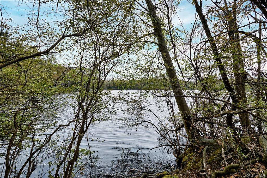 Land Pierson Lakes  Rockland, NY 10974, MLS-H6246069-18