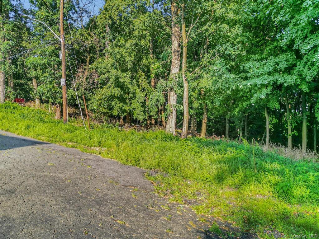 Land Dickinson  Westchester, NY 10703, MLS-H6264120-18