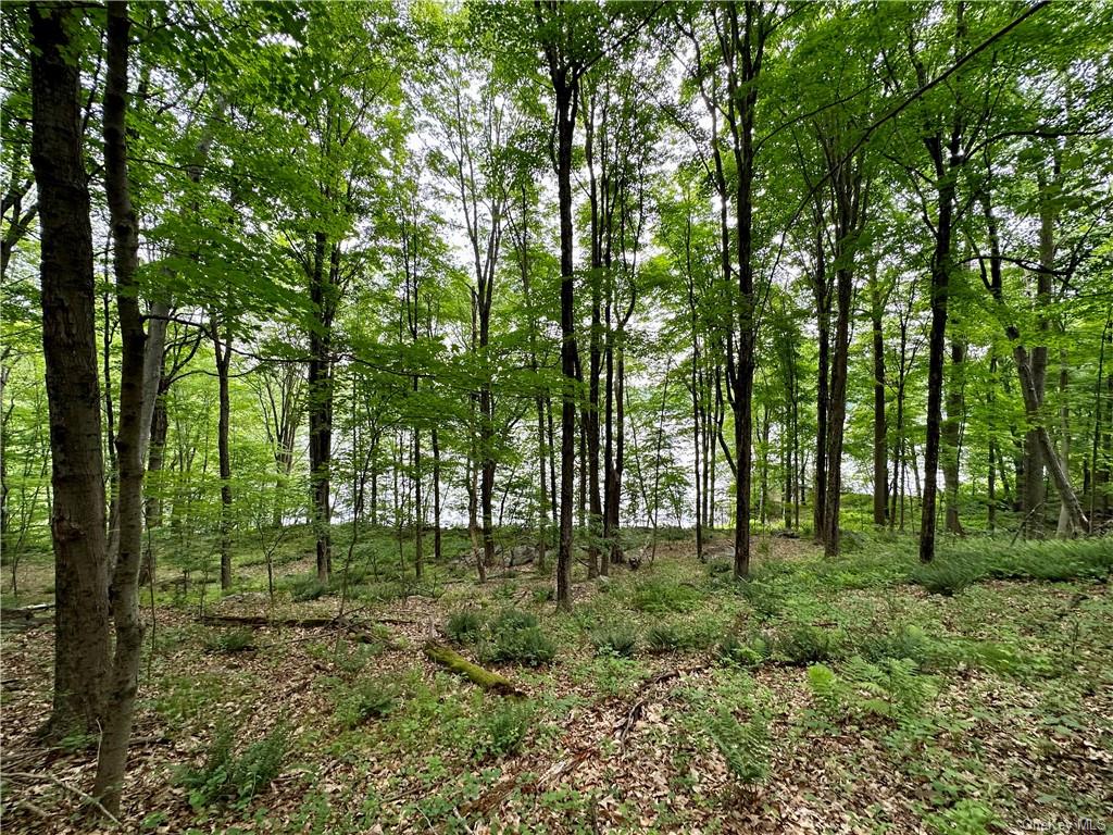 Land Pierson Lakes  Rockland, NY 10974, MLS-H6255156-18