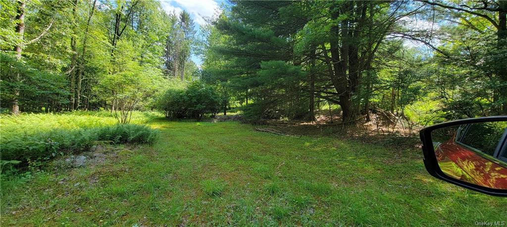 Land Westervelt  Sullivan, NY 12726, MLS-H6264186-18