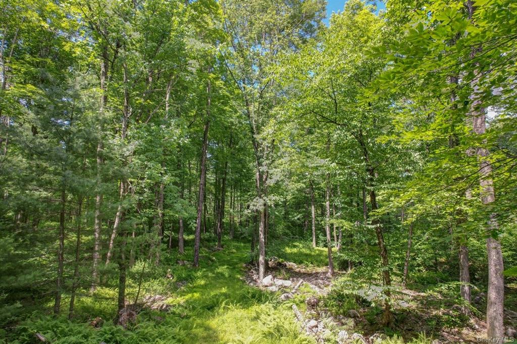 Land N/s French Clearing  Sullivan, NY 12777, MLS-H6195187-18