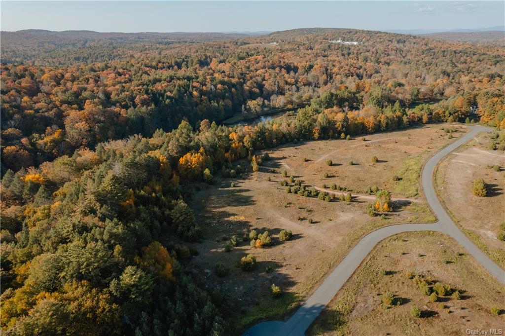 Land Marsh Road Tr 83  Sullivan, NY 12733, MLS-H6270193-18