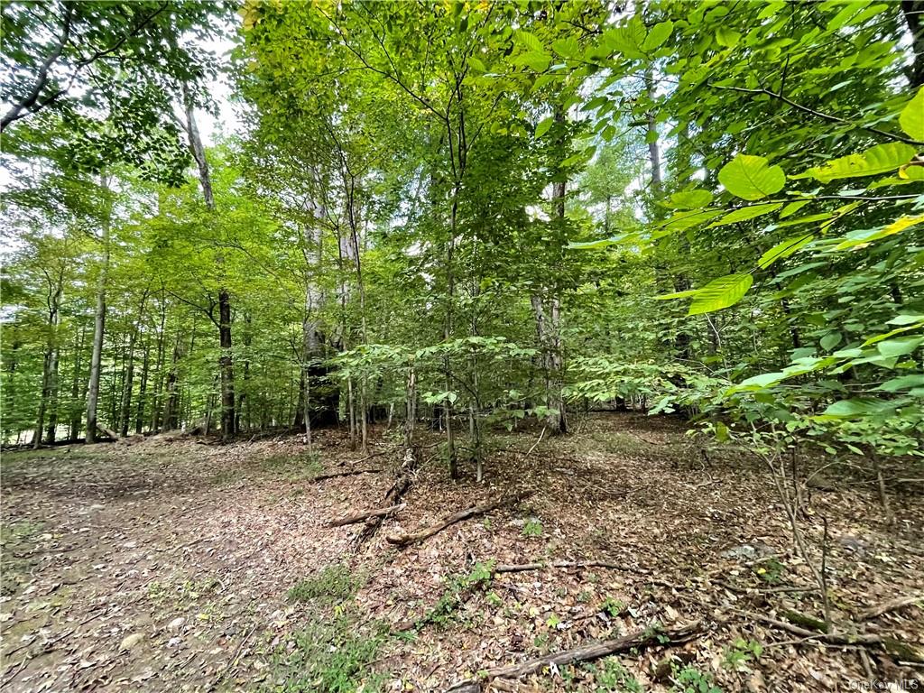 Land Ulsterville  Ulster, NY 12566, MLS-H6144266-18
