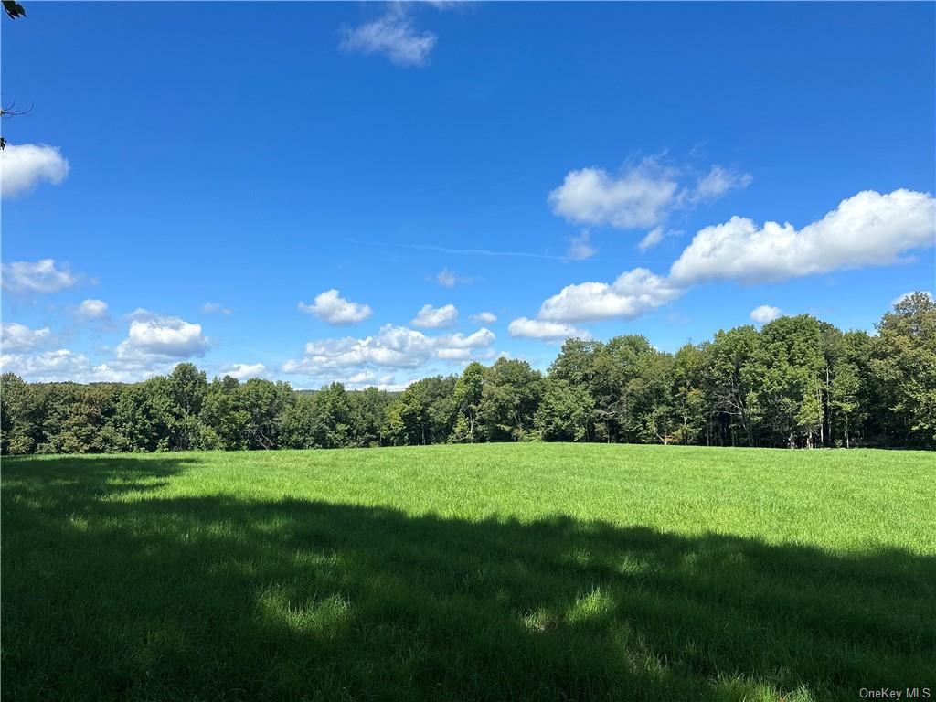 Land Menges  Sullivan, NY 12791, MLS-H6268308-18