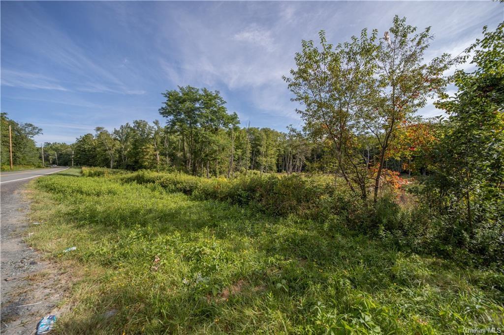 Land Heiden  Sullivan, NY 12733, MLS-H6212378-18