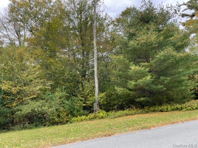 Land Chapin  Sullivan, NY 12720, MLS-H6273528-18