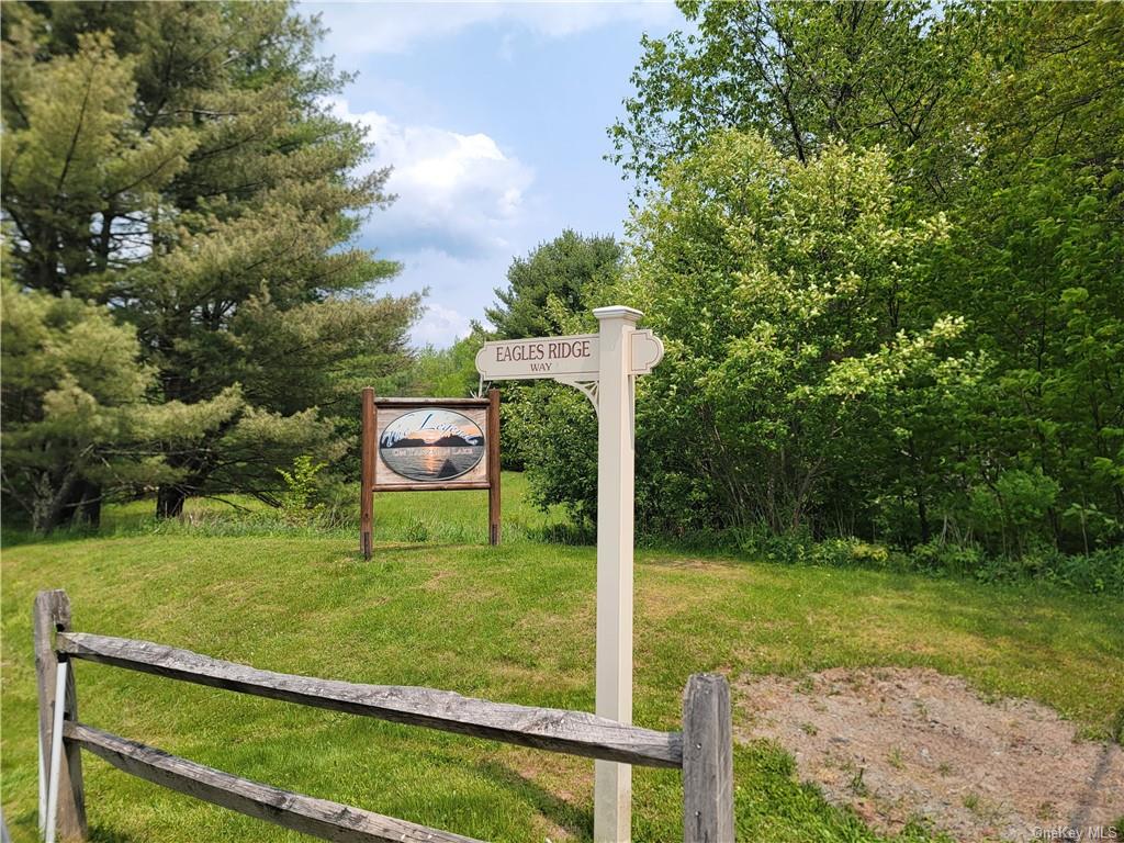 Land Eagles Ridge  Sullivan, NY 12768, MLS-H6232574-18