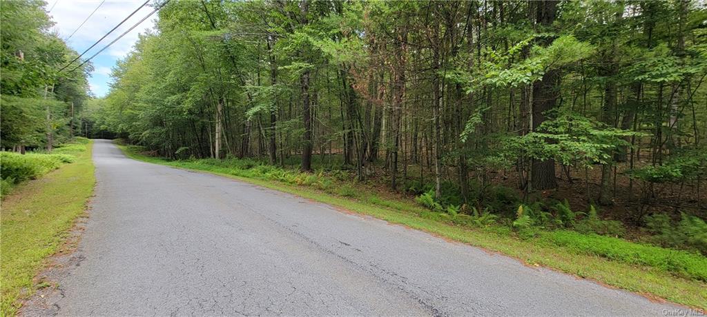 Land Hawks Nest  Out Of Area, NY 18428, MLS-H6265593-18