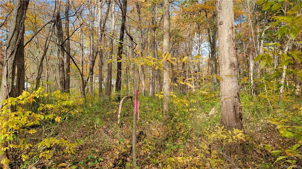 Land Western  Orange, NY 12586, MLS-H6275607-18