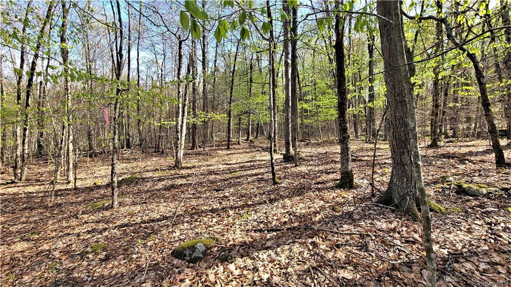 Land Lakeshore  Sullivan, NY 12778, MLS-H6143640-18