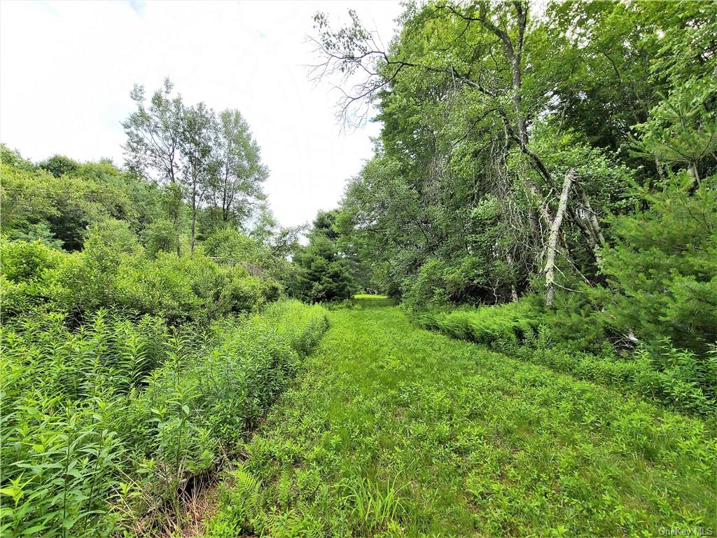 Land Mitchell  Sullivan, NY 12786, MLS-H6243649-18