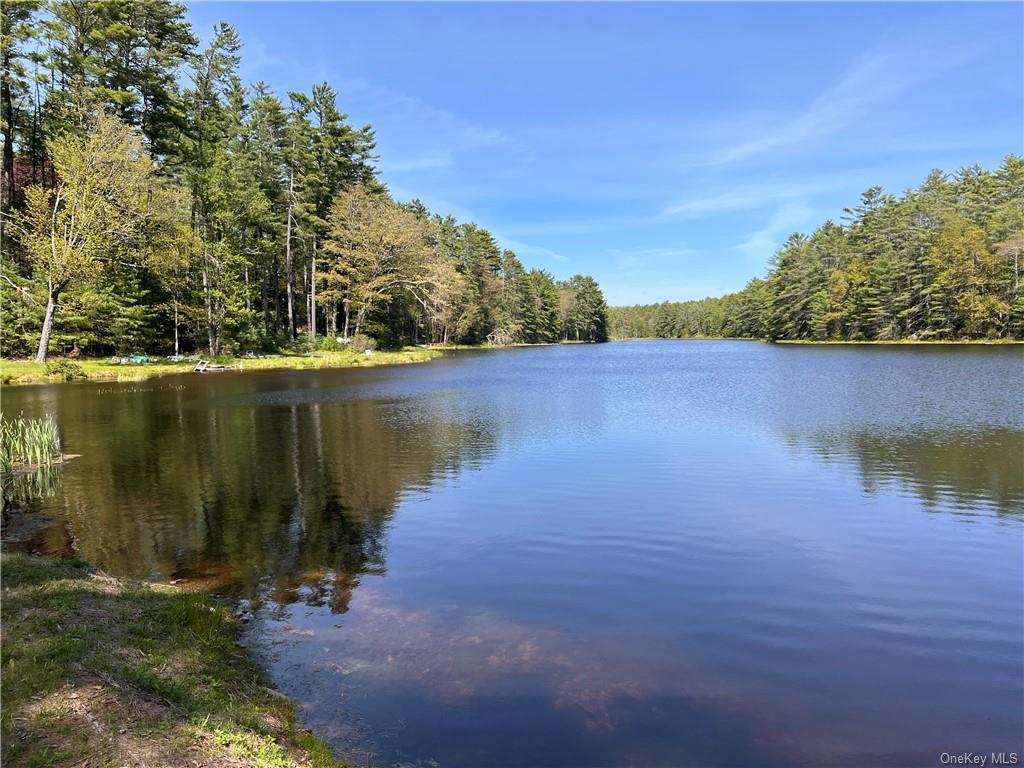 Land Stag Forest  Sullivan, NY 12777, MLS-H6268672-18