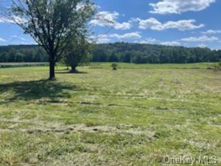 Land Cochecton  Sullivan, NY 12726, MLS-H6177700-18