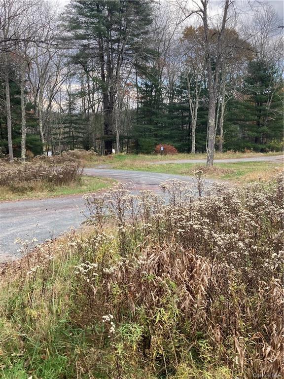 Land Plank  Sullivan, NY 12762, MLS-H6274706-18