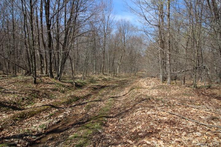 Land Cattail  Sullivan, NY 12758, MLS-H6244708-18