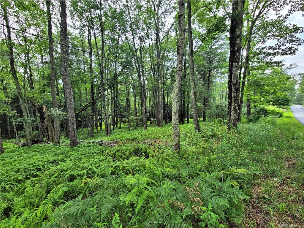 Land Goldsmith  Sullivan, NY 12783, MLS-H6258729-18