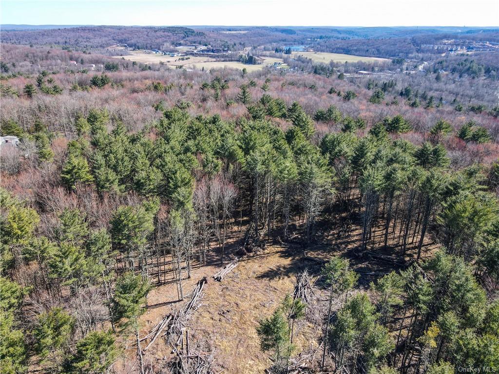 Land Beaver Lane Tr 166  Sullivan, NY 12733, MLS-H6242756-18