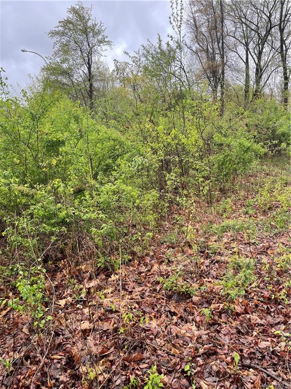Land Front  Westchester, NY 10598, MLS-H6244777-18