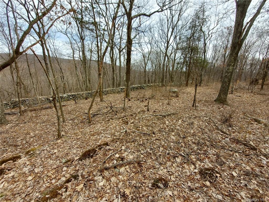 Land Grape Hollow  Dutchess, NY 12531, MLS-H6241803-18