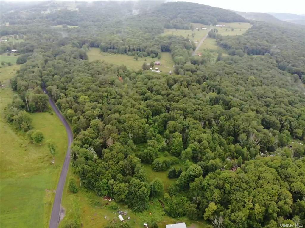 Land Big Hollow  Sullivan, NY 12765, MLS-H6256806-18