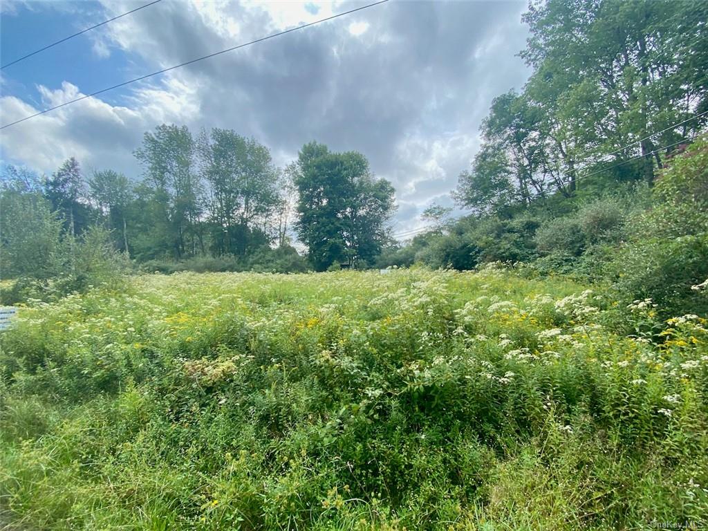 Land Moscoe  Sullivan, NY 12720, MLS-H6241893-18