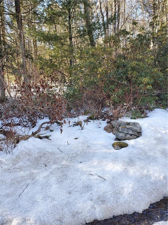 Land Red Star  Ulster, NY 12435, MLS-H6236955-18