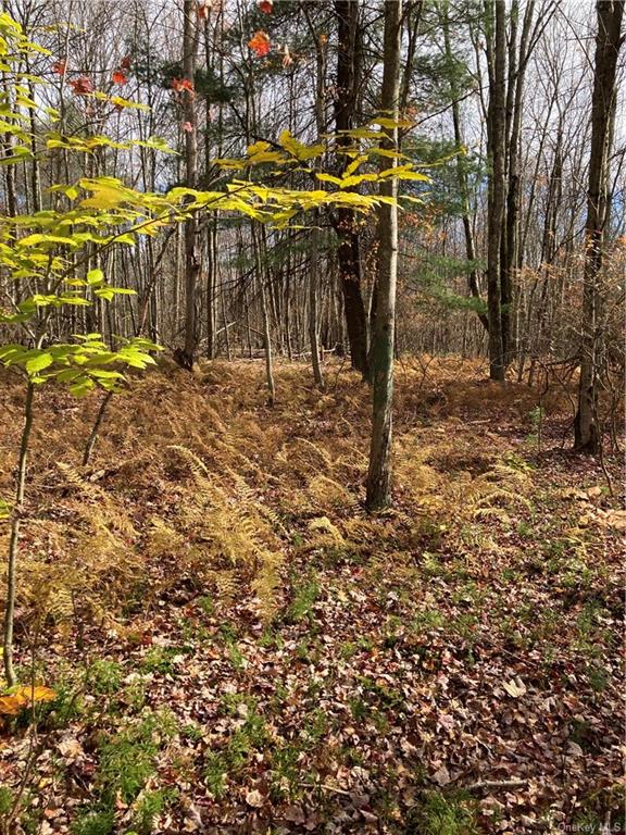 Land Big Woods  Sullivan, NY 12472, MLS-H6274967-18