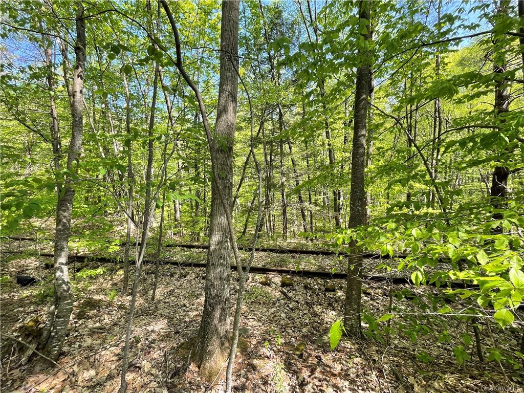 Land Creek Side  Ulster, NY 12480, MLS-H6228986-18