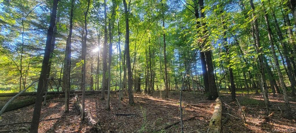 Land Meyerson  Sullivan, NY 12790, MLS-H6207993-18