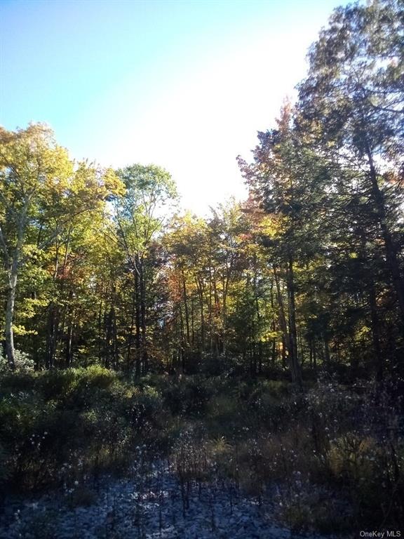 Land Mount Vernon  Sullivan, NY 12790, MLS-H6215996-18