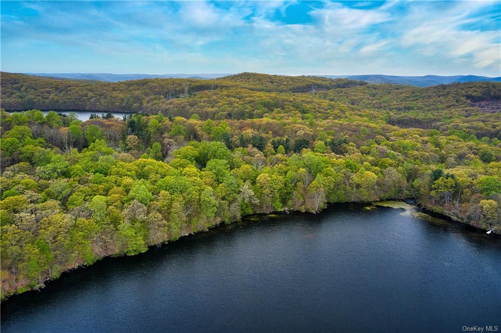 Land Pierson Lakes  Rockland, NY 10974, MLS-H6246067-19