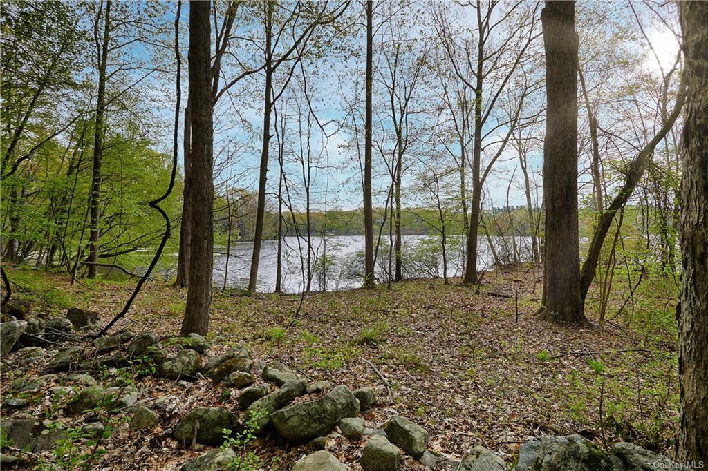 Land Pierson Lakes  Rockland, NY 10974, MLS-H6246069-19