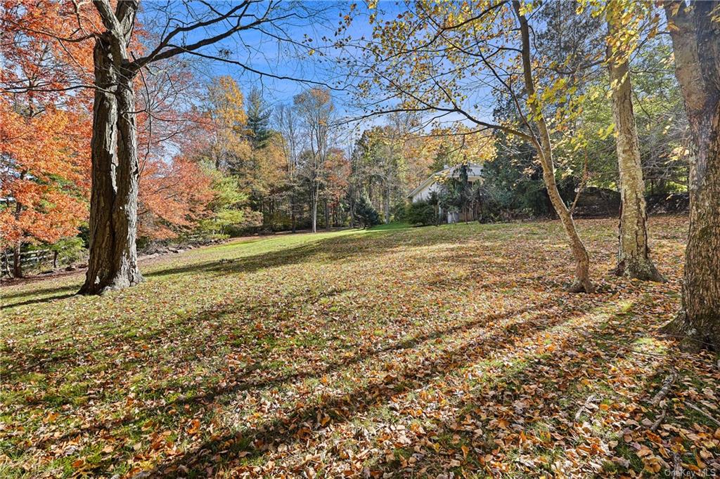 Single Family Crow Hill  Westchester, NY 10549, MLS-H6274074-19