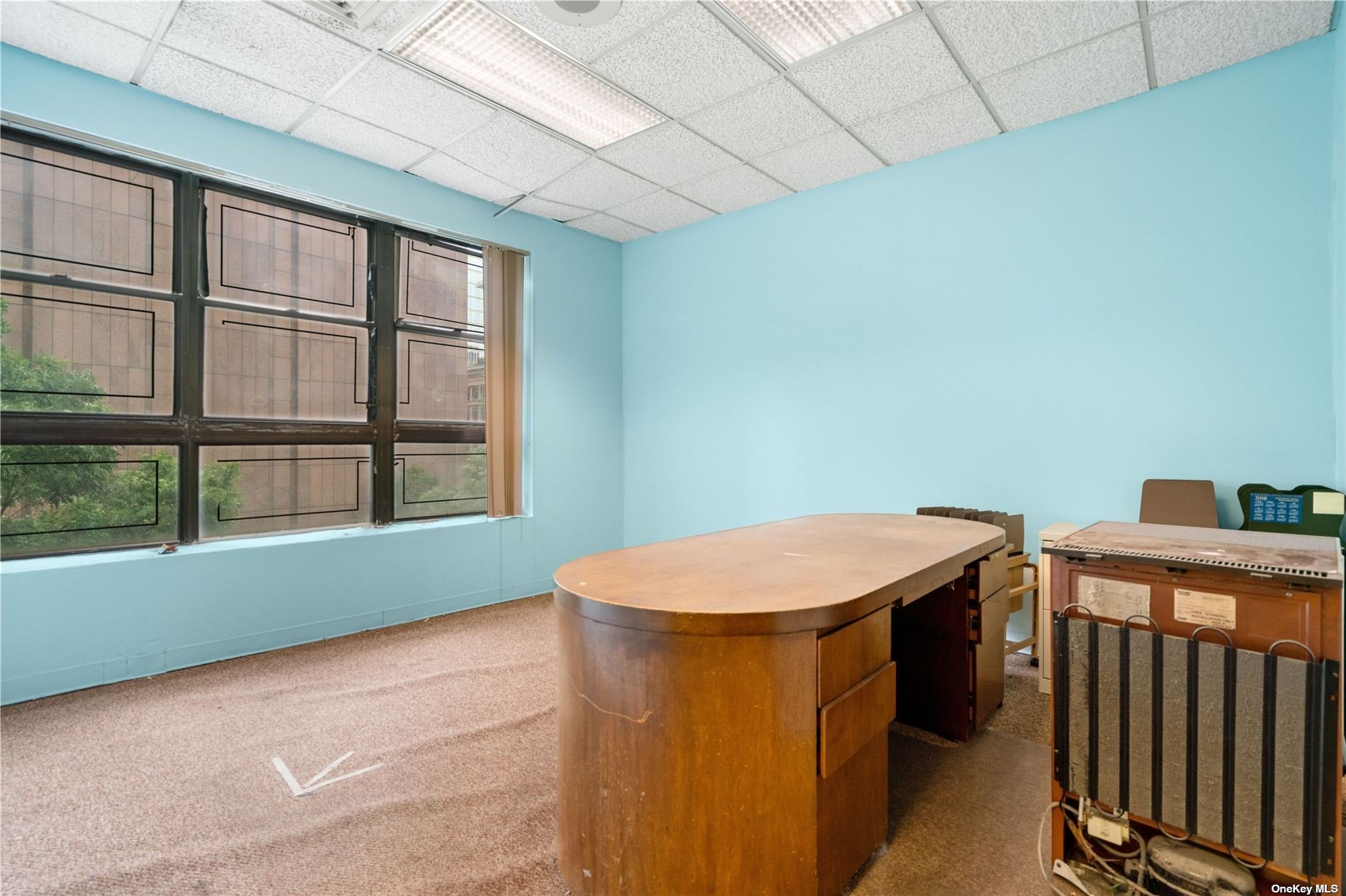 Commercial Lease Broadway  Manhattan, NY 10007, MLS-3487084-19