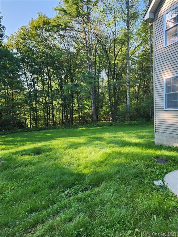 Apartment State Route 42  Orange, NY 12780, MLS-H6279124-19