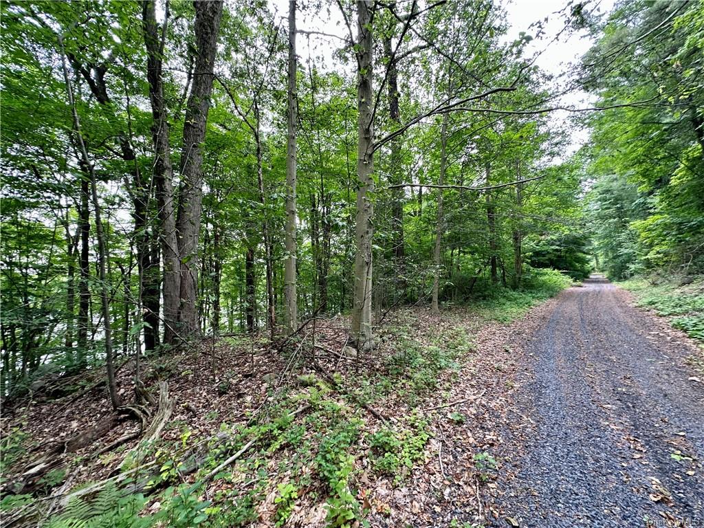 Land Pierson Lakes  Rockland, NY 10974, MLS-H6255156-19