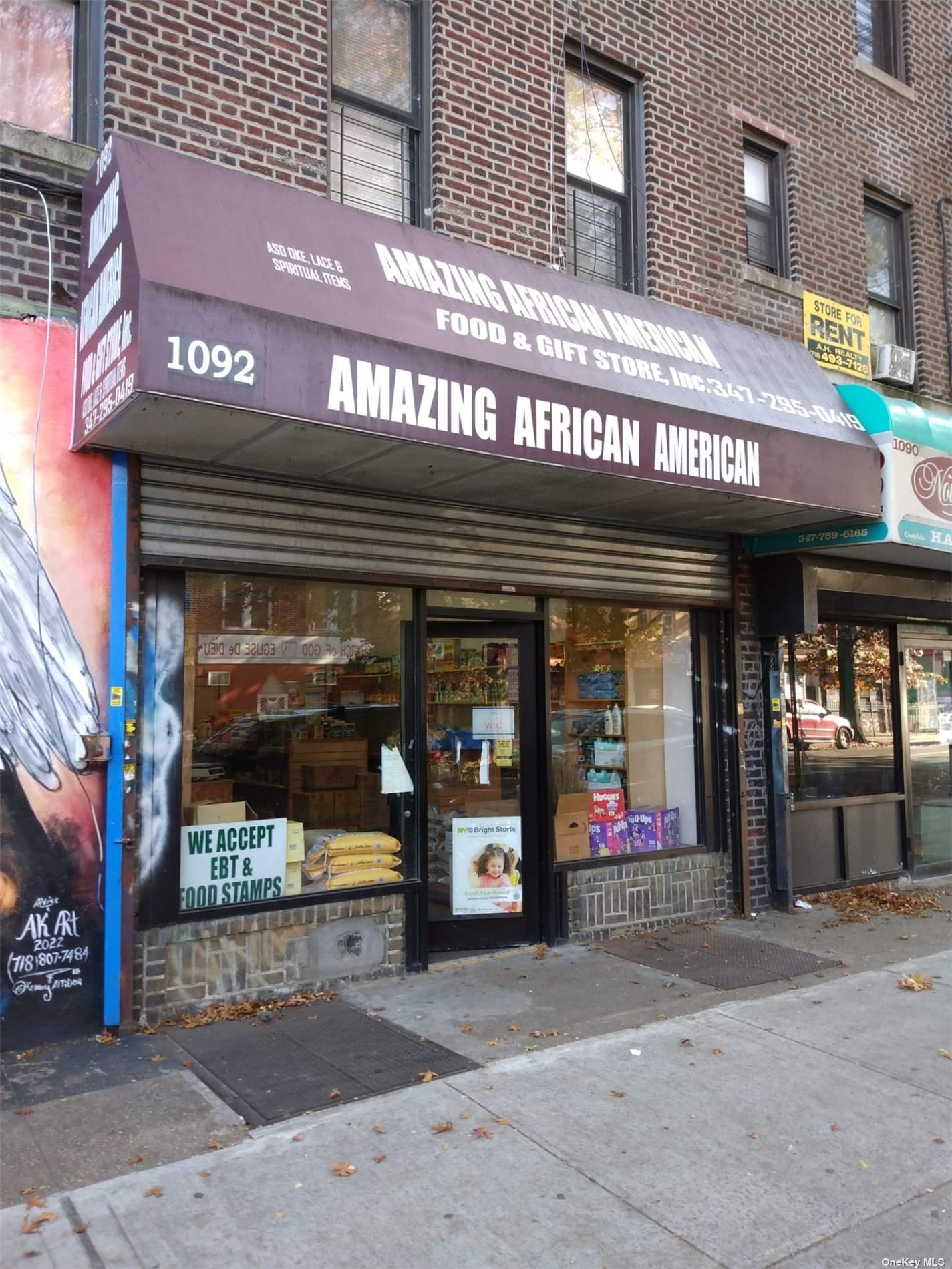 Business Opportunity Clarkson  Brooklyn, NY 11212, MLS-3517245-19