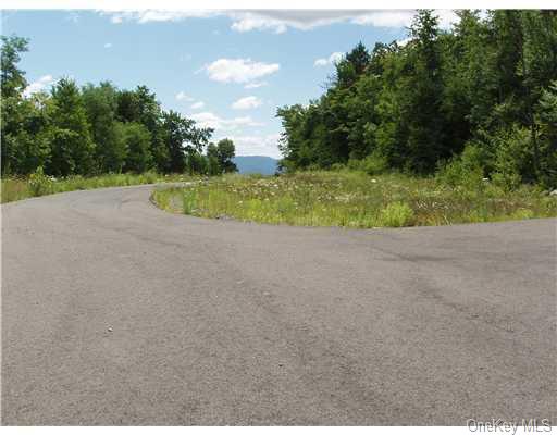 Land Truncali  Ulster, NY 12542, MLS-H6263292-19