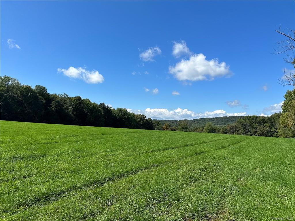 Land Menges  Sullivan, NY 12791, MLS-H6268308-19