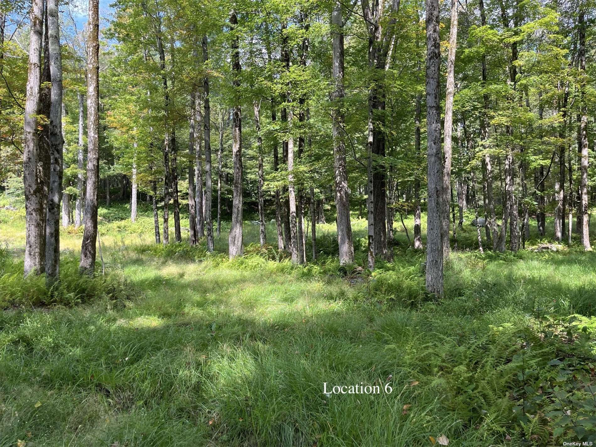 Land Tanzman  Sullivan, NY 12768, MLS-3506472-19