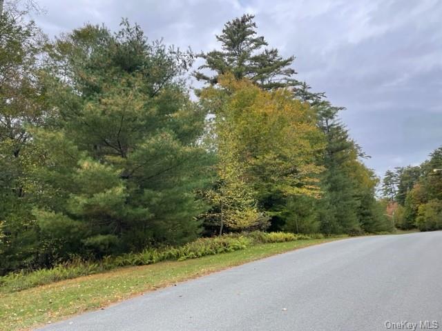 Land Chapin  Sullivan, NY 12720, MLS-H6273528-19